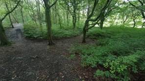 IMG_20231002_144344286_MFNR